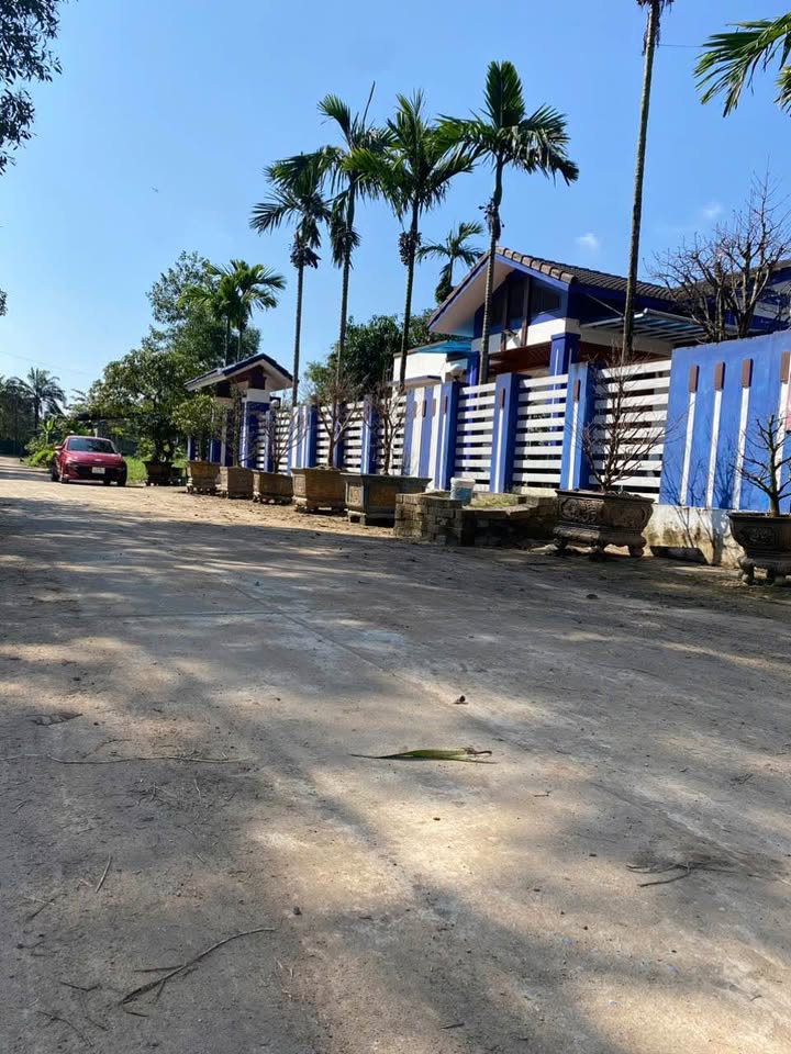 Đất thổ cư Trần Cao Vân, Thị xã Quảng Trị 200m² chỉ 1 tỷ - Cơ hội vàng cho đầu tư!