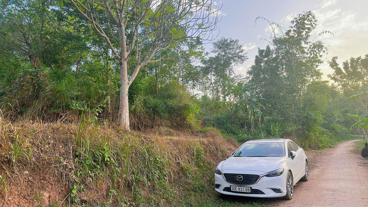 Đất thổ cư Bao La, Mai Châu 4100m² giá chỉ 1 tỷ - Đầu tư sinh lời ngay!