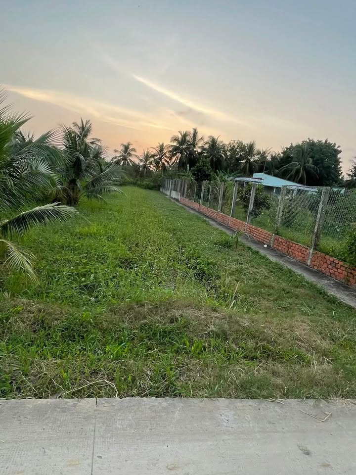 Đất nền An Hiệp, Ba Tri 600m² giá chỉ 290 triệu - Cơ hội đầu tư tuyệt vời!