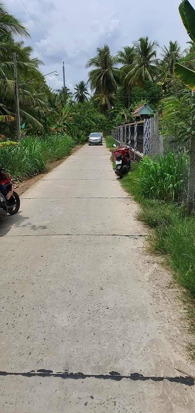 Đất thổ cư Sơn Phú Giồng Trôm Bến Tre 3677m² - Giá chỉ 2,5 triệu/m²!