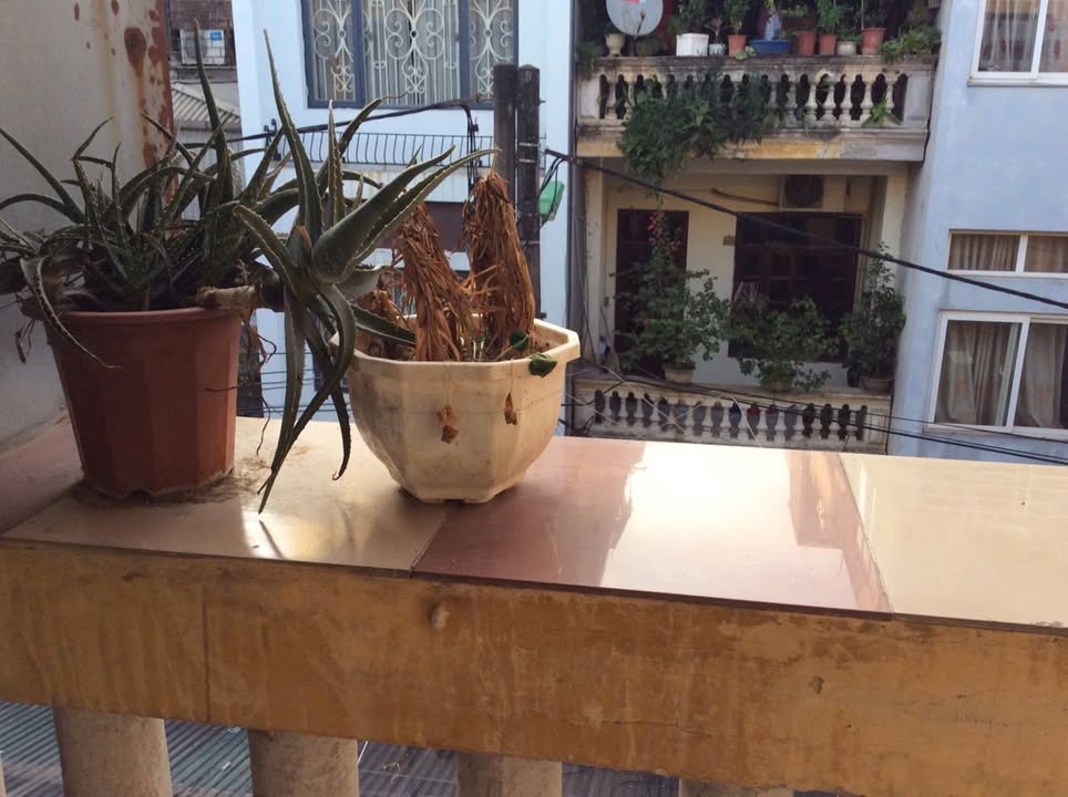 Căn hộ tập thể xe lửa Gia Lâm 15m² giá 2 triệu - Vị trí đẹp gần vườn hoa Ngọc Lâm!