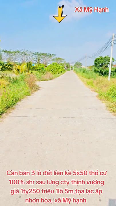 Đất nền thổ cư 250m² xã Mỹ Hạnh giá 1.26 tỷ - Sổ đỏ chính chủ, đầu tư sinh lời!