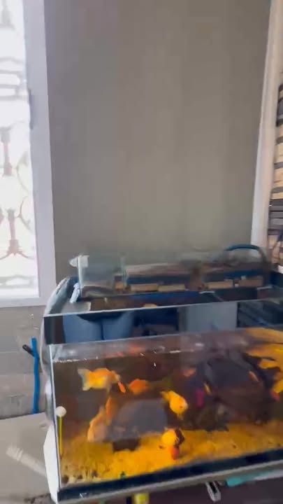 Chung cư Nguyễn Thị Tần Quận 8 59m² giá 3.2 tỷ - Sổ hồng riêng, thiết kế tối ưu!