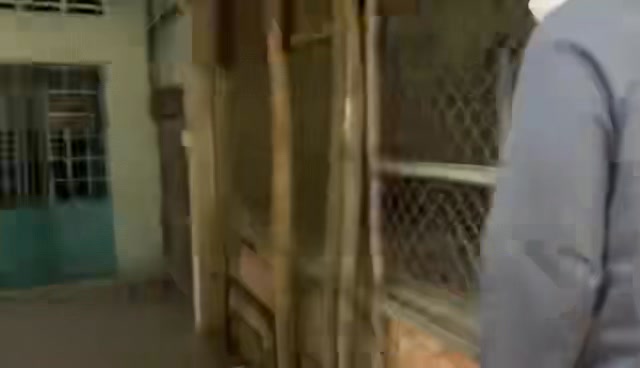 Nhà cấp 4 tại xã Bình Ninh, huyện Tam Bình 190m² giá 630 triệu - Vị trí đẹp, kinh doanh thuận lợi!