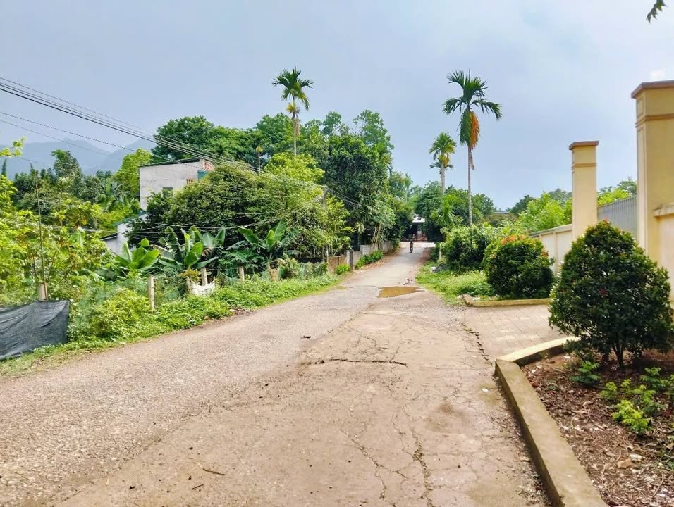 Đất nền Kim Bôi Hòa Bình 4.198m² giá đầu tư - Sổ đỏ chính chủ!