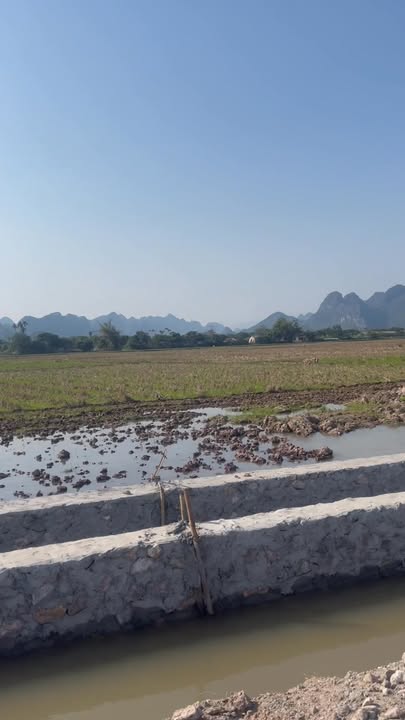 Đất ruộng 2308m² tại xã Hồng Sơn, Mỹ Đức, Hà Nội - Sổ đỏ chính chủ giá tốt!