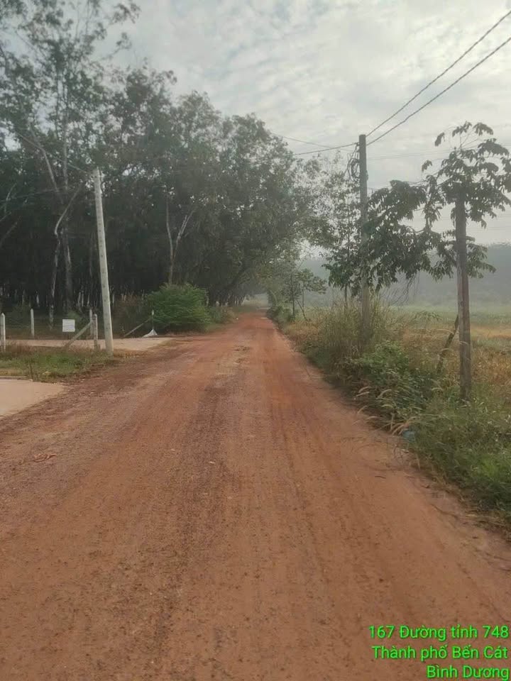 Đất nền An Điền, Bến Cát, Bình Dương 340m² giá 920 triệu - Đầu tư sinh lời cao!