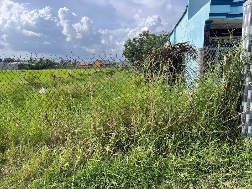 Đất nền 333m² Hòa Khánh Đông, Đức Hòa, Long An - Sổ riêng, giá 1.4 tỷ, bớt lộc!