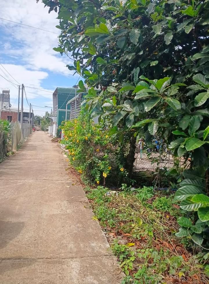 Đất thổ cư Tân Hội, Đức Trọng 123m² - Gần chợ, tiện ích đầy đủ!