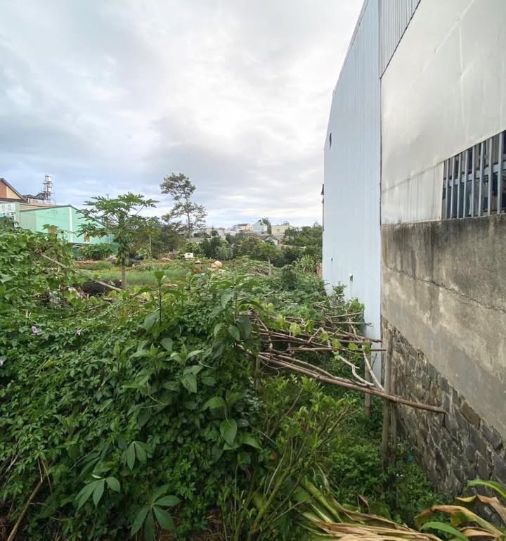 Đất thổ cư Hẻm 238 Hà Giang, Bảo Lộc 140m² chỉ 1.3 tỷ - Đầu tư sinh lời ngay!