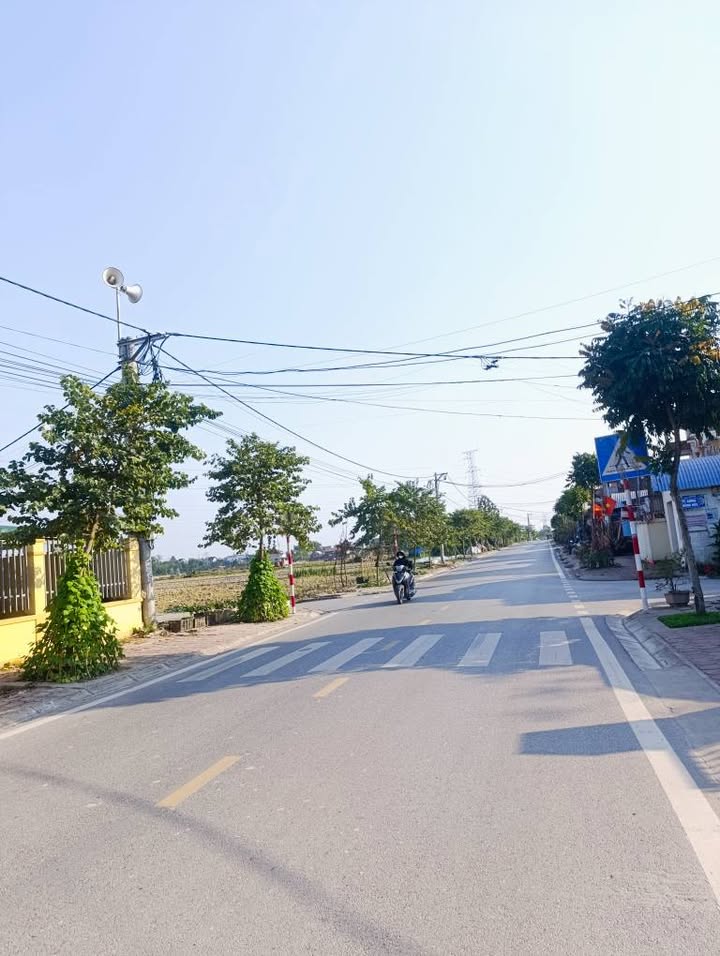 Đất nền Trung Giã, Sóc Sơn 295m² giá thỏa thuận - Mặt tiền đắc địa, sẵn sàng giao dịch!