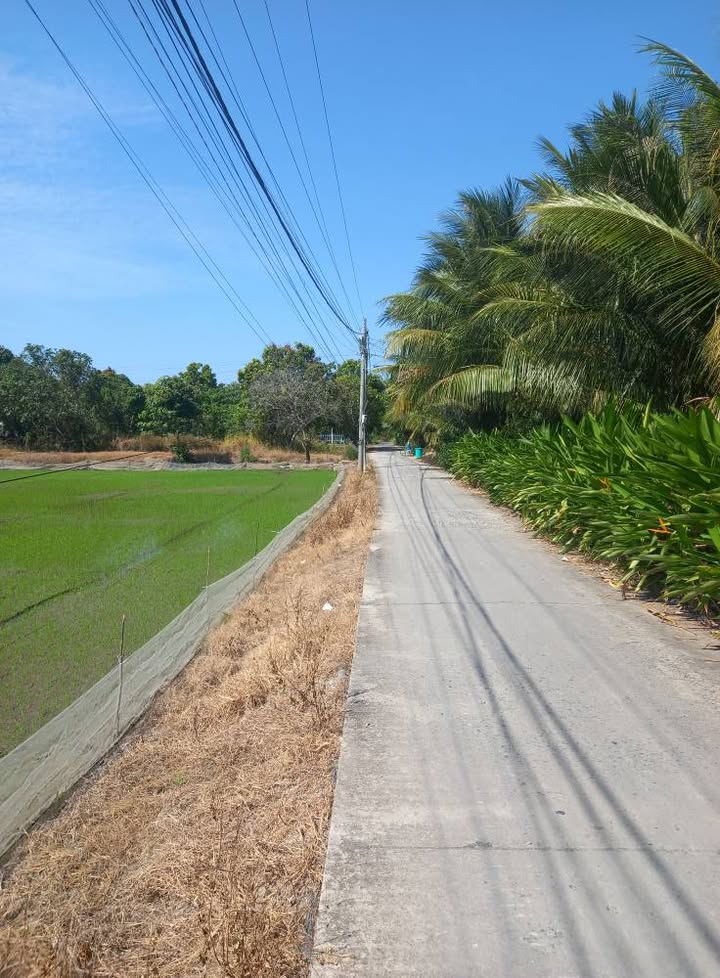 Đất mặt tiền đường Châu Đốc 30,000m² giá 1.9 tỷ - Tiềm năng đầu tư vượt trội!