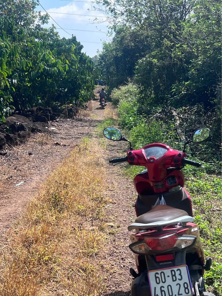 Đất thổ cư Phú Tân, Định Quán 8232m² giá 479 triệu - Cơ hội đầu tư sinh lời!