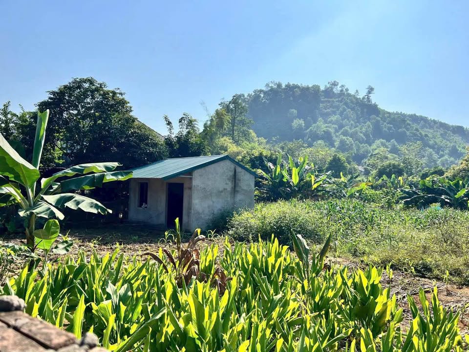 Đất thổ cư 782m² tại Tiến Xuân, Thạch Thất - Vị trí đắc địa gần ga metro!