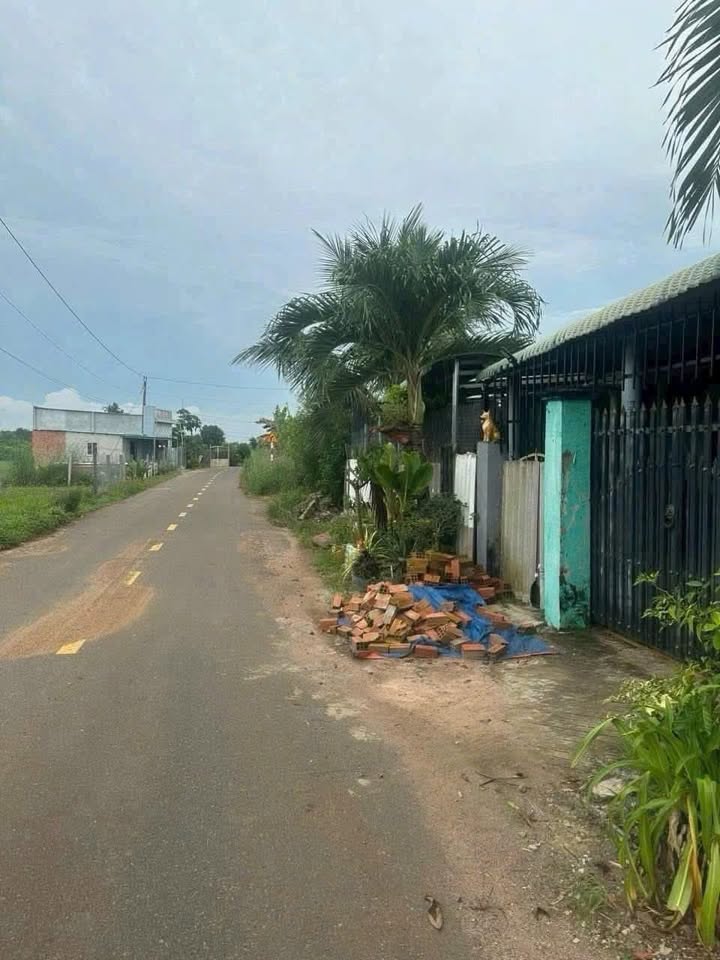 Đất nền Long Tân - Đất Đỏ 12000m² giá 600 triệu - Bán gấp trước Tết!