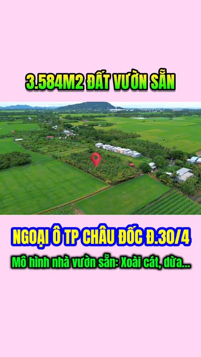 Đất vườn trái cây Châu Đốc 3584m² giá 3.4 tỷ - Đầu tư sinh lời ngay!