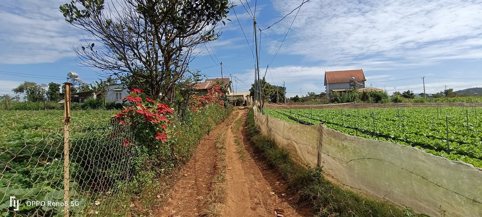 Đất nông nghiệp 4000m² tại Tu Tra, Đơn Dương - Sổ đỏ chính chủ chỉ 450 triệu