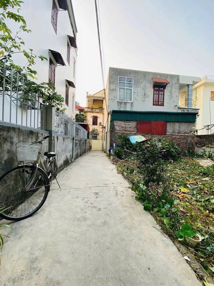 Đất Lô Góc 50m² Phường Bình Hàn, TP Hải Dương - Giá 1.5 tỷ - Vị Trí Đắc Địa!