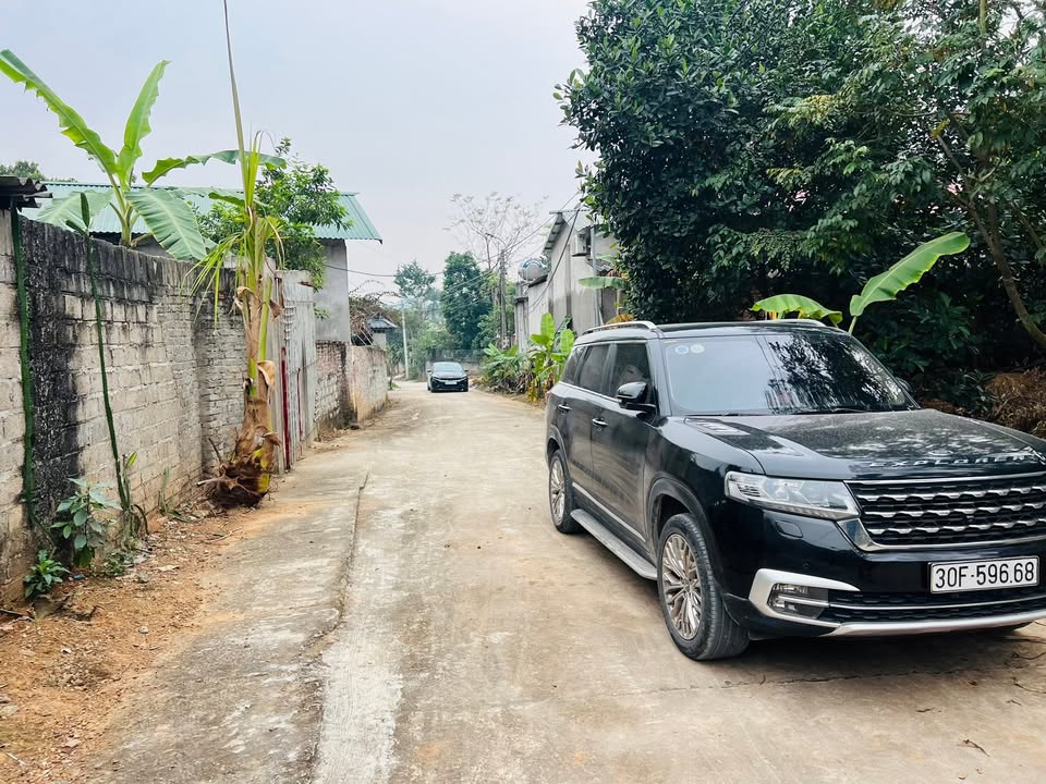 Đất rừng Đạo Tú, Tam Dương 7000m² giá chỉ vài trăm triệu - Ô tô vào tận đất!