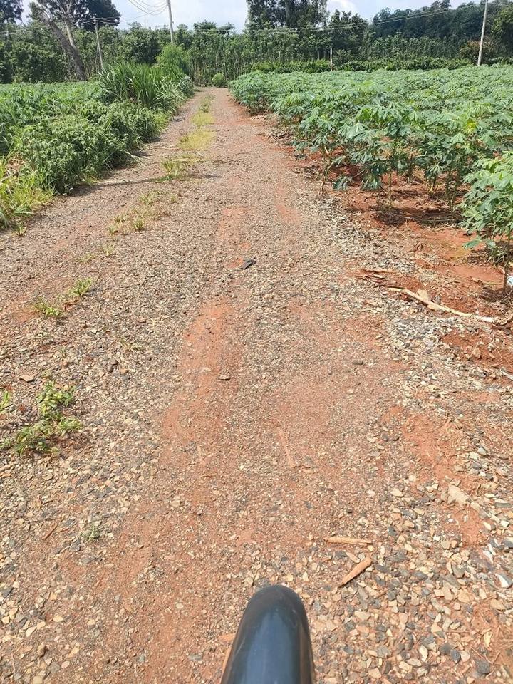 Đất nền xã Sơn Bình, Châu Đức 1200m² giá 750 triệu - Sổ hồng riêng, mặt tiền đường cấp phối!