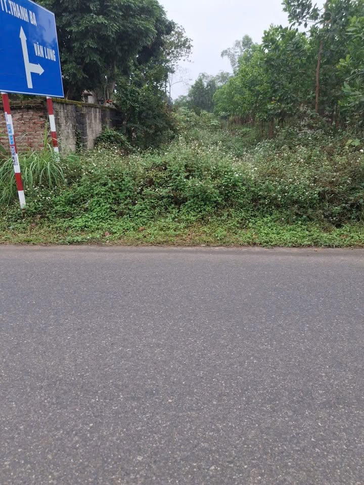 Đất thổ cư 120m² mặt đường 320c Khu 12, Thanh Ba - Đầu tư sinh lời ngay!