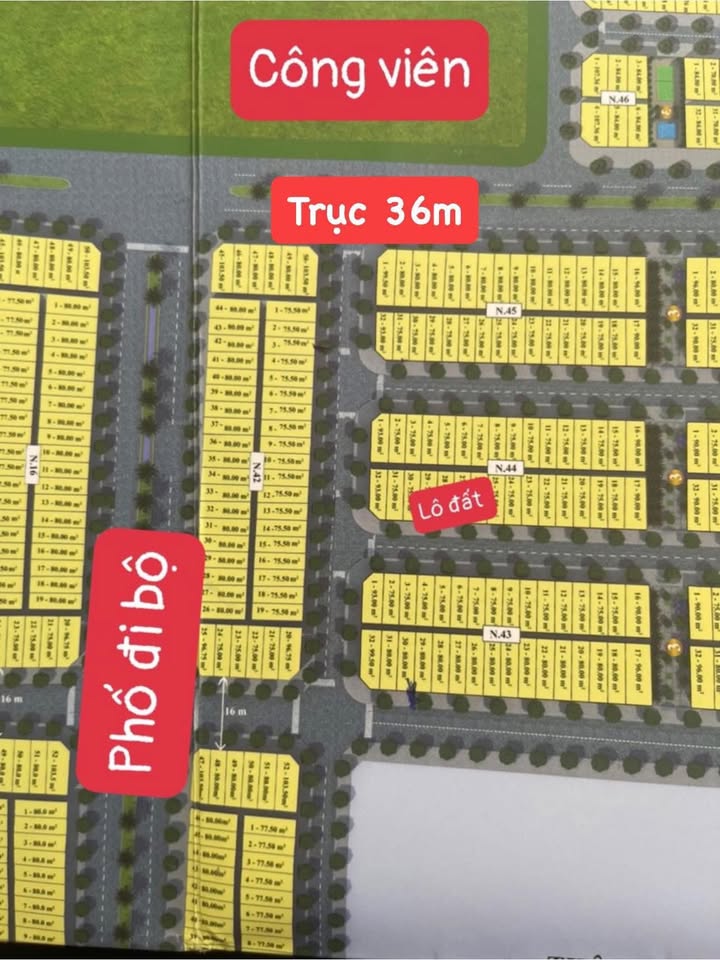 Đất nền Khu đô thị Rùa Vàng, Lạng Giang 75m² - Chính chủ bán gấp!