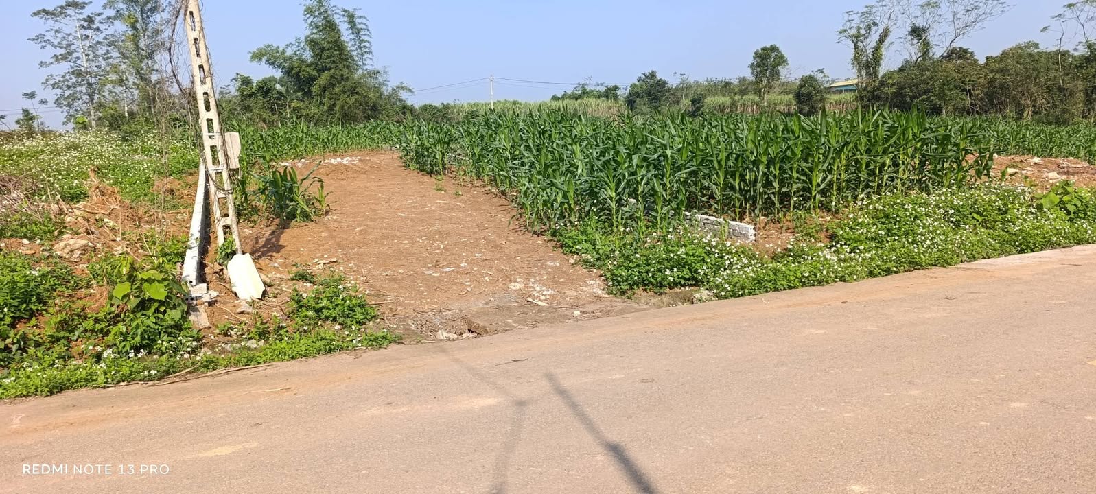 Đất nền liền kề Nghĩa Đàn 337.46m² giá thỏa thuận - Đường nhựa liên tỉnh