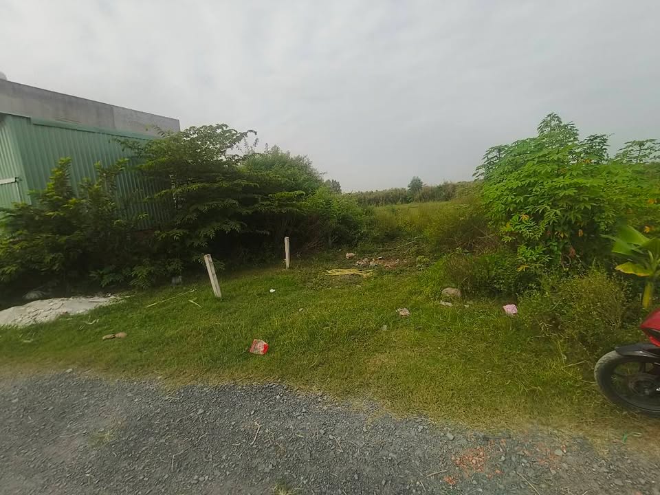 Đất nền Mỹ Hạnh, Đức Hòa 75m² giá 850 triệu - Đường xe hơi thông thoáng!