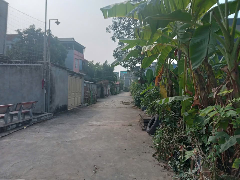 Đất chính chủ Hồng Hà 2, Thanh Miếu, 72m² giá 2 tỷ - Cơ hội đầu tư tuyệt vời!