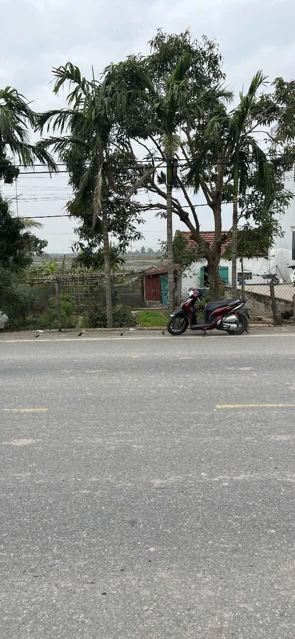 Đất nền Nho Quan, Ninh Bình 200m² giá 2.2 tỷ - Cơ hội đầu tư tuyệt vời!