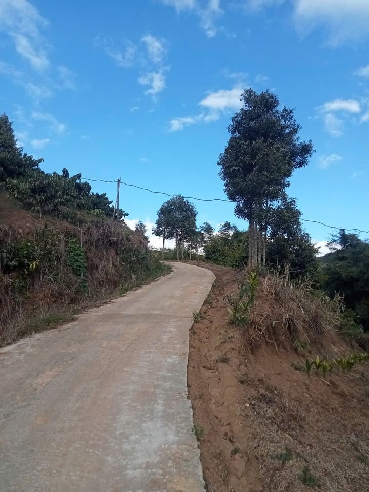 Farm 6,3ha tại Thôn 2 Ngọk Wang - Đất bằng phẳng, sẵn hồ nước và điện 3 pha!