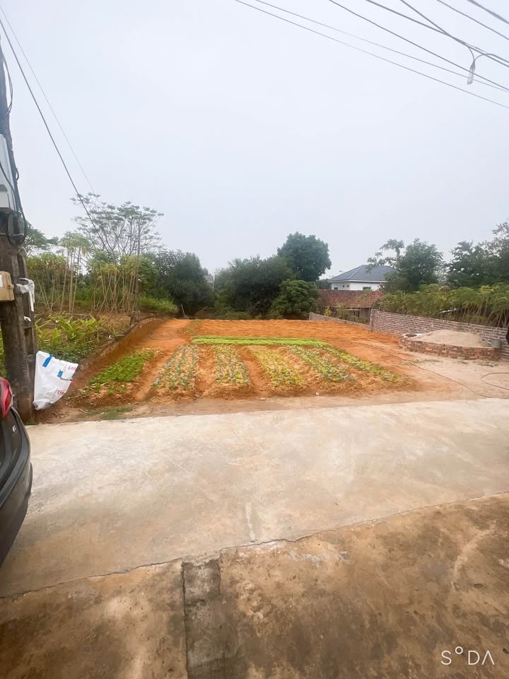 Đất nền khu phố 7, xã Hy Cương, 223m² giá 1.9 tỷ - Đầu tư lý tưởng cho nhà vườn