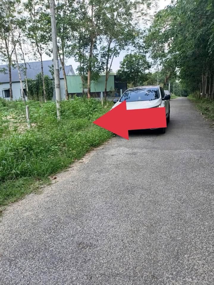 Đất nền Minh Hòa, Dầu Tiếng 785m² giá 600 triệu - Cơ hội đầu tư tuyệt vời!