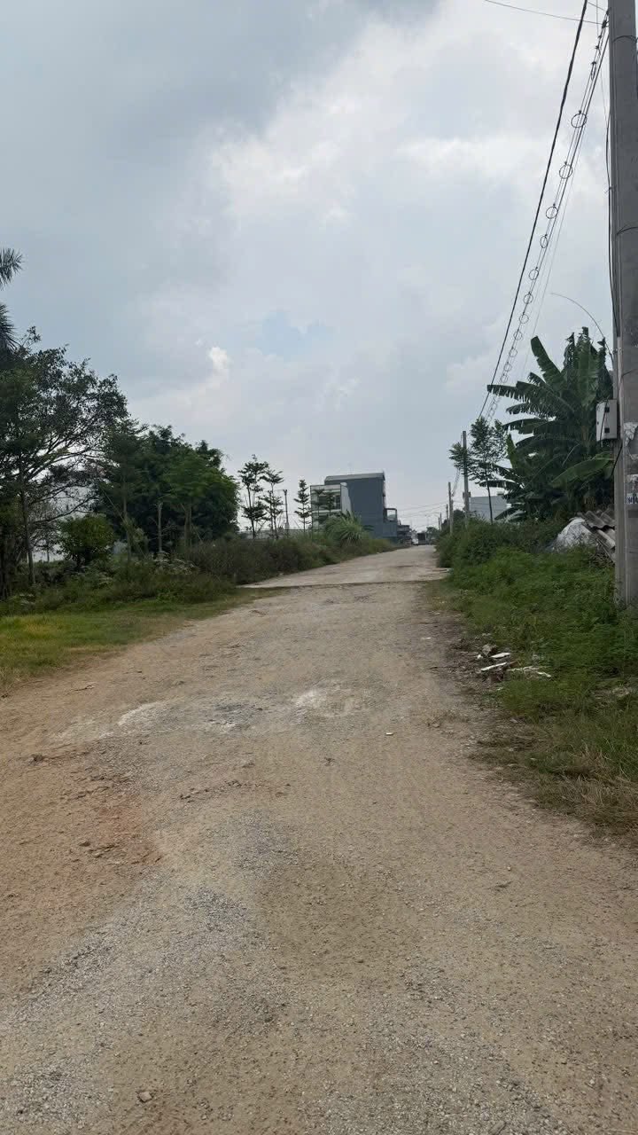 Lô đất mặt đường Lý Thái Tổ Ninh Bình 100m² giá 20 tỷ - Đầu tư sinh lời cực tốt!