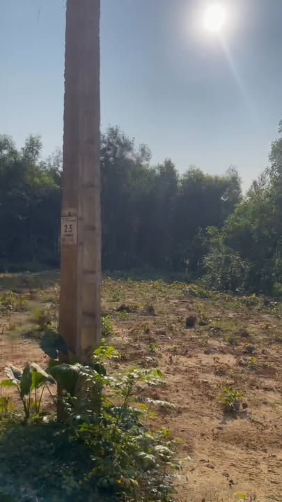 Đất thổ cư 1150m² tại Tân Thành, Phú Bình - Mặt tiền 40m, giá thỏa thuận!