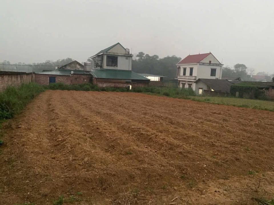 Đất thổ cư 387m² tại Sơn Cương - Mặt tiền 15m, Giá tốt đầu tư!