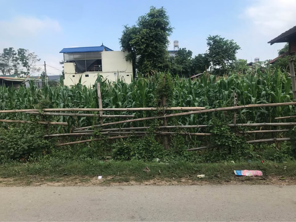 Mảnh đất thổ cư 120m² tại Phường Mường Thanh, Điện Biên chỉ 650 triệu - Tiềm năng đầu tư lớn!