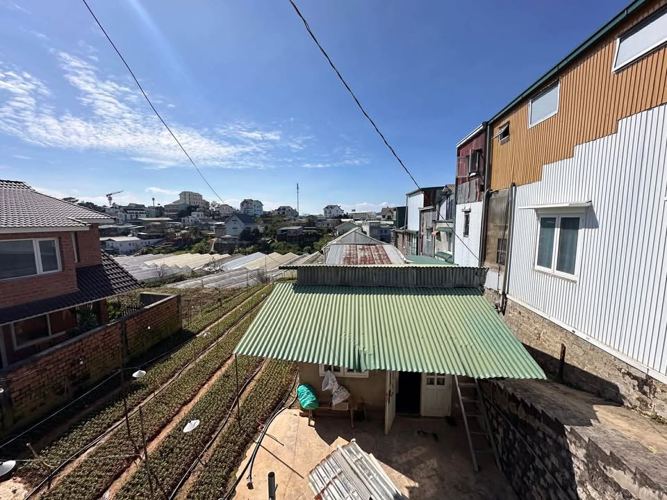 Đất nền Đồi Huy Hoàng, Đà Lạt 516m² giá 12.5 tỷ - Đầu tư sinh lời nhanh!