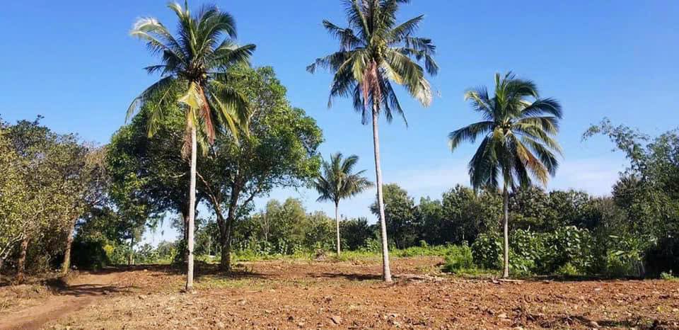 Đất nền 1000m² tại Ấp 3, Gia Canh, Định Quán - Cơ hội đầu tư tuyệt vời chỉ 700 triệu