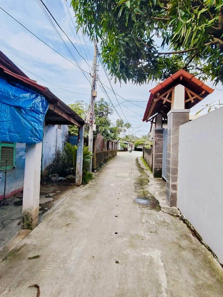 Đất Nguyễn Chánh, Liên Chiểu, Đà Nẵng 100m² giá 3 tỷ - Đầu tư sinh lời ngay!