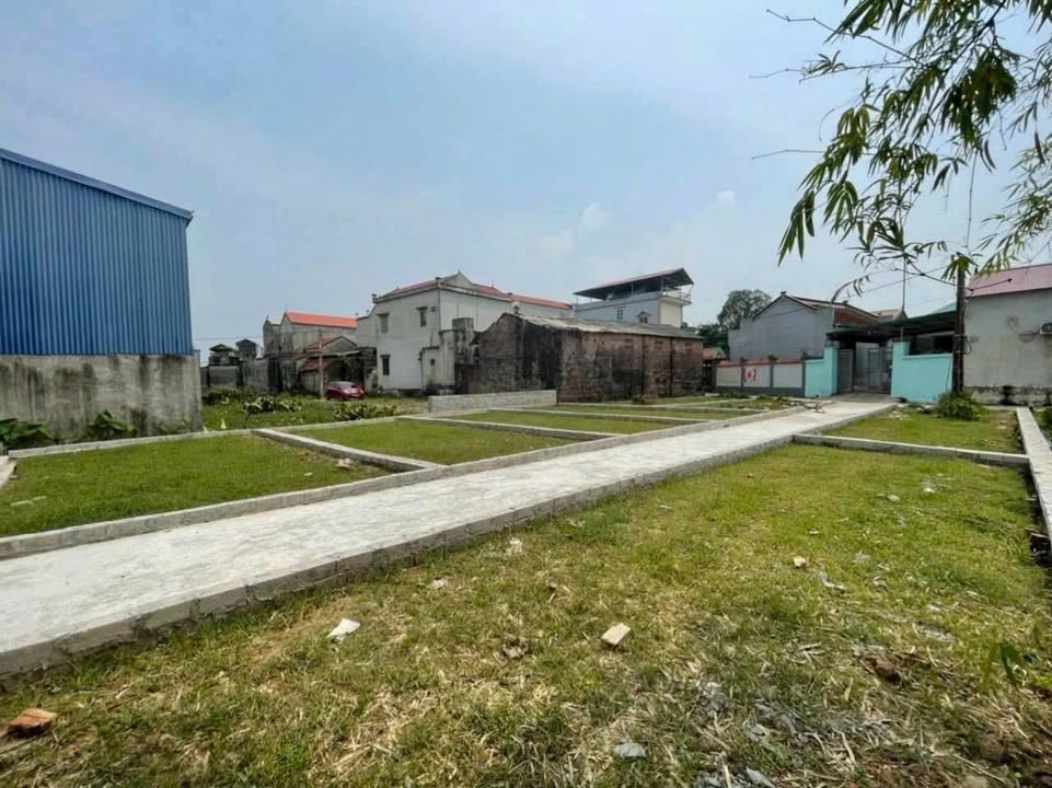 Đất nền Thôn Tam Đa, xã Tam Hưng 51,2m² - Vị trí trung tâm, tiềm năng phát triển!