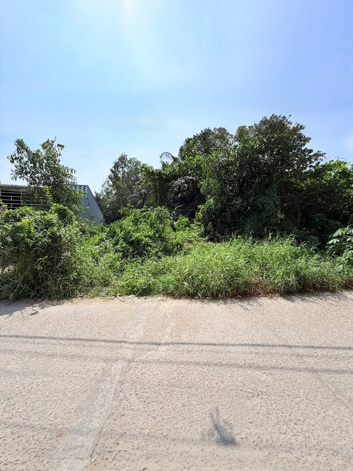 Bán đất mặt tiền Đào Duy Từ Rạch Giá 200m² - Sổ hồng riêng, giá tốt!