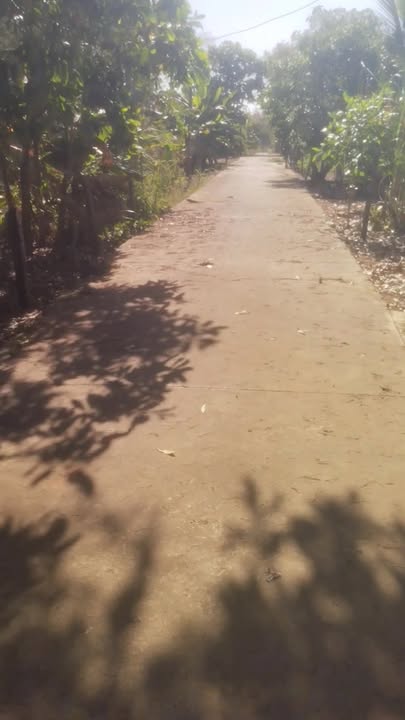 Đất nền Tân Thành Bù Đốp 20.000m² giá 1.8 tỷ - Sổ đỏ chính chủ, thương lượng ngay!