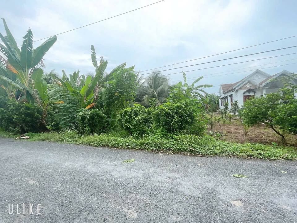 Đất mặt tiền đường Liên Phường Tân Hạnh, Vĩnh Long 1489m² giá 3.275 tỷ - Cơ hội đầu tư sinh lời!