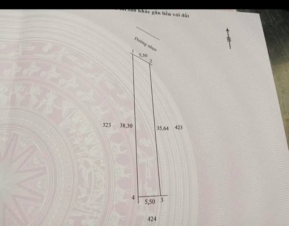 Đất nền liền kề Chánh An, Mang Thít 100m² giá 750 triệu - Cơ hội đầu tư hấp dẫn!