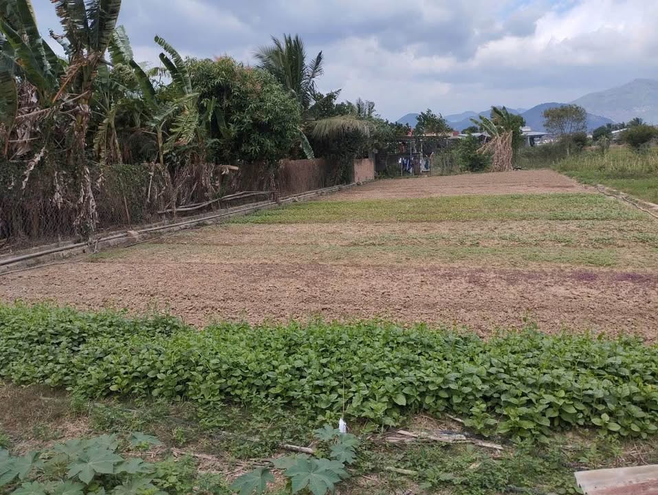 Đất nền đẹp Diên Điền, Diên Khánh 582.7m² giá chỉ 5.7 triệu/m² - Cơ hội đầu tư tuyệt vời!