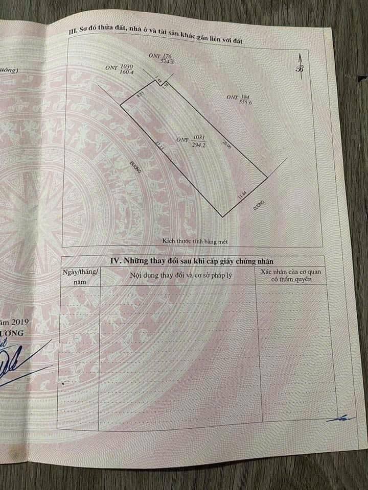 Đất thổ cư Lạc Sơn Đô Lương 294m² giá 1.6 tỷ - Cơ hội đầu tư lý tưởng!