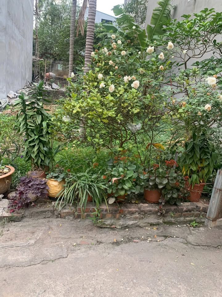 Đất Tiên Dương, Đông Anh 62m² giá 5.25 tỷ - Đầu tư an cư lý tưởng!