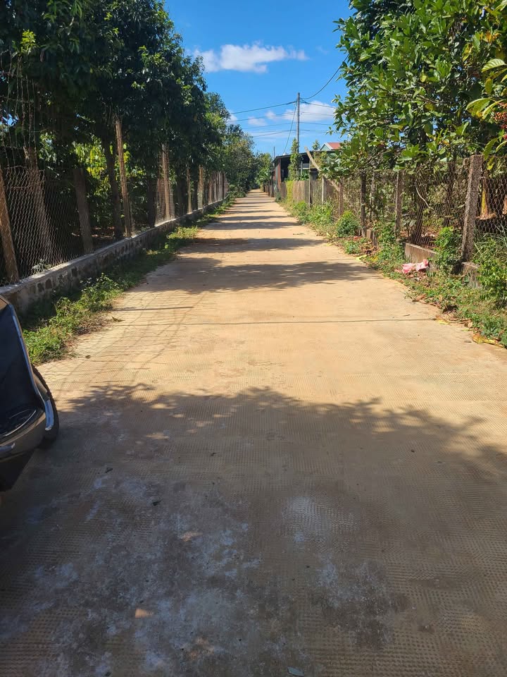 Đất nền Biển Hồ, Pleiku 132.5m² giá 400 triệu - Cơ hội đầu tư đất vàng!