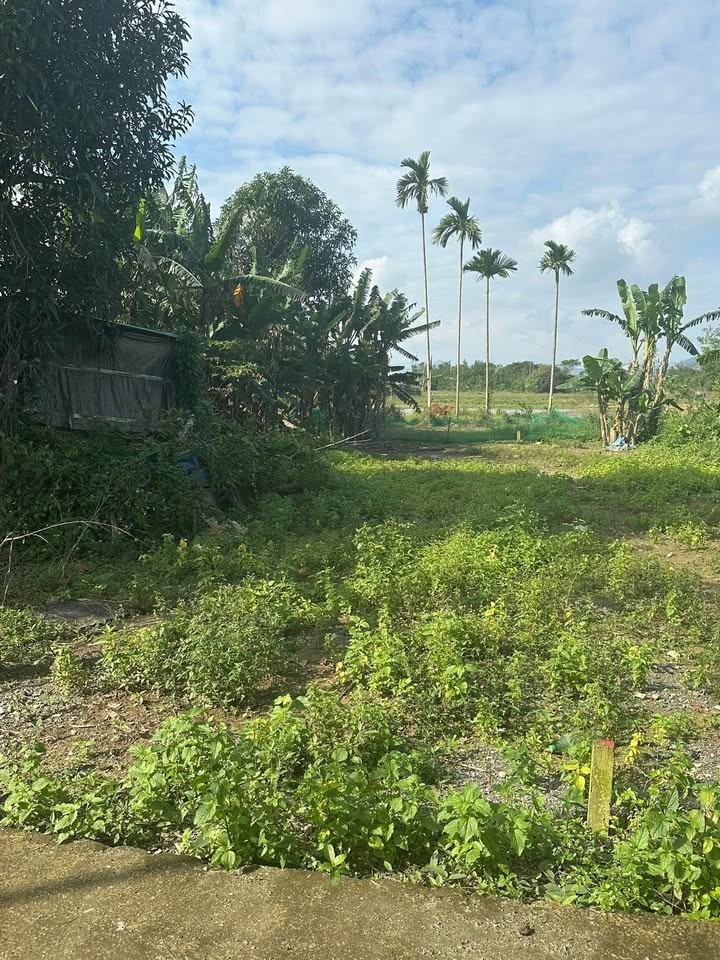 Đất nền Hòa Tiến, Đà Nẵng 123m² giá 1,2 tỷ - Cơ hội đầu tư tuyệt vời!